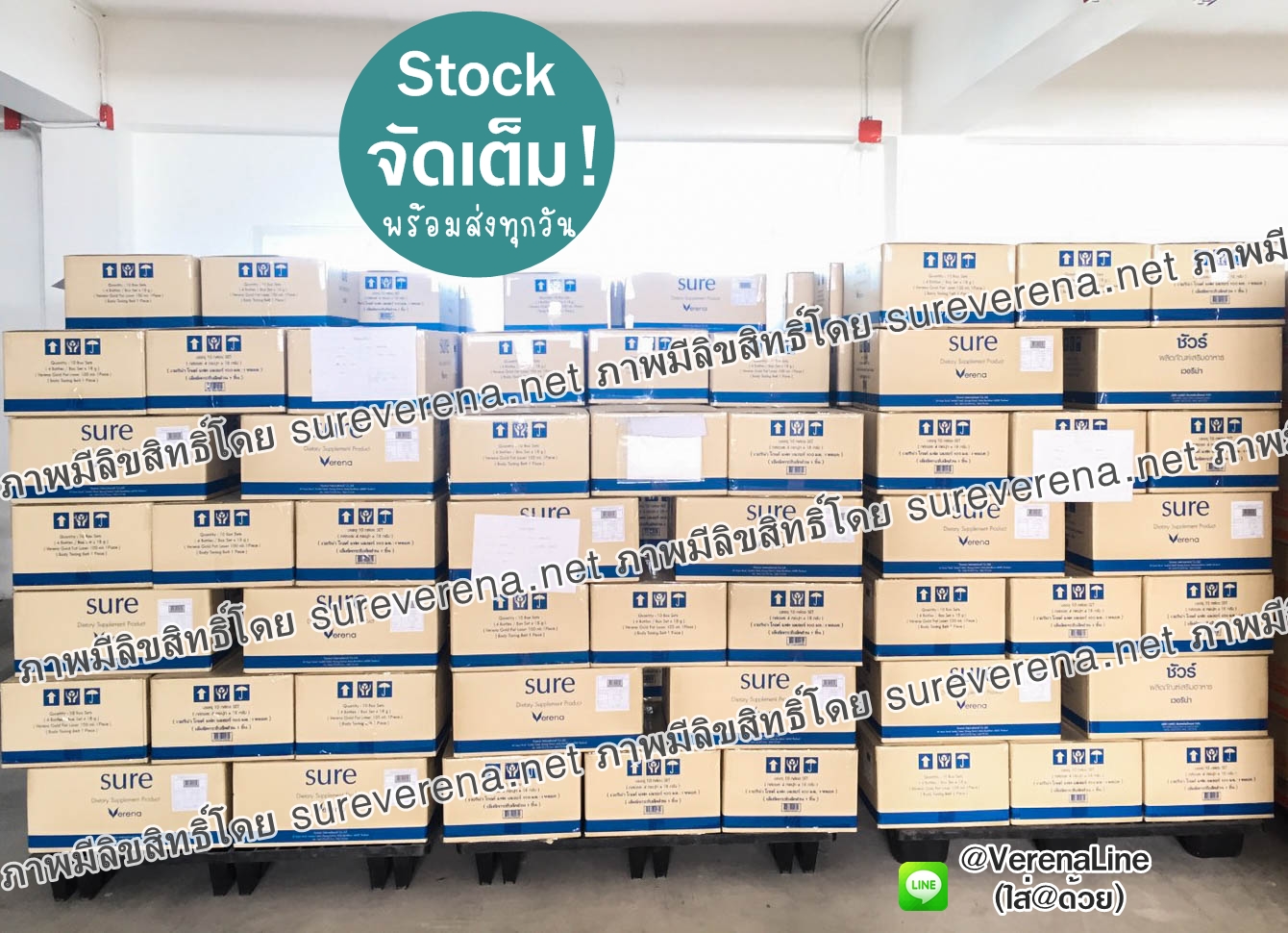stock sure พร้อมส่งราคาถูก ราคาส่ง