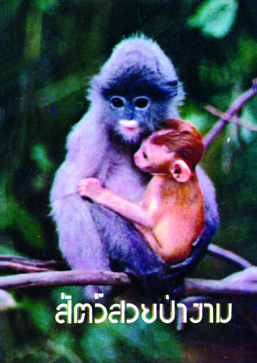 สัตว์สวยป่างาม
