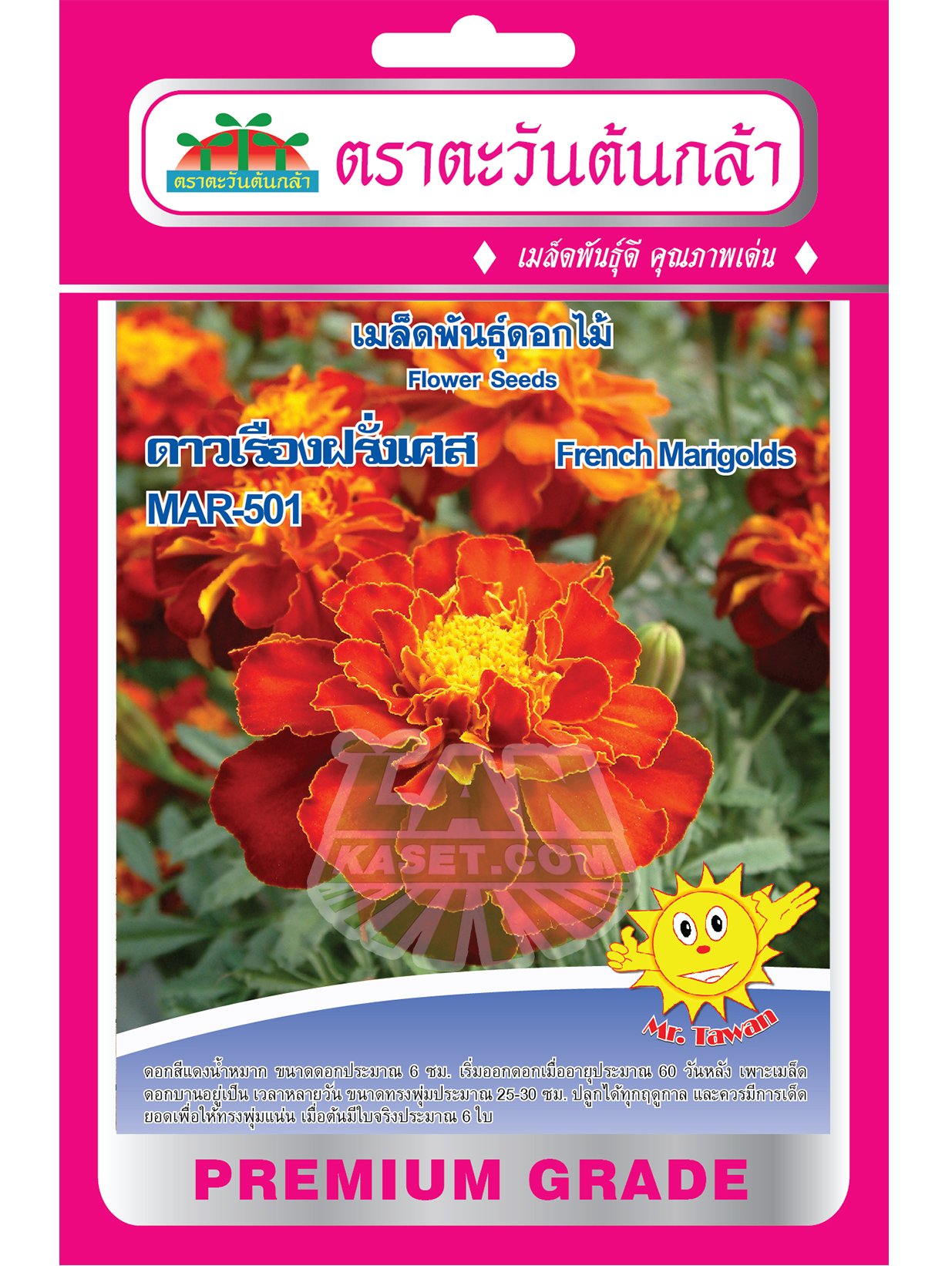 F3 เมล็ดพันธุ์ดอกไม้ ดาวเรืองฝรั่งเศส MAR-501