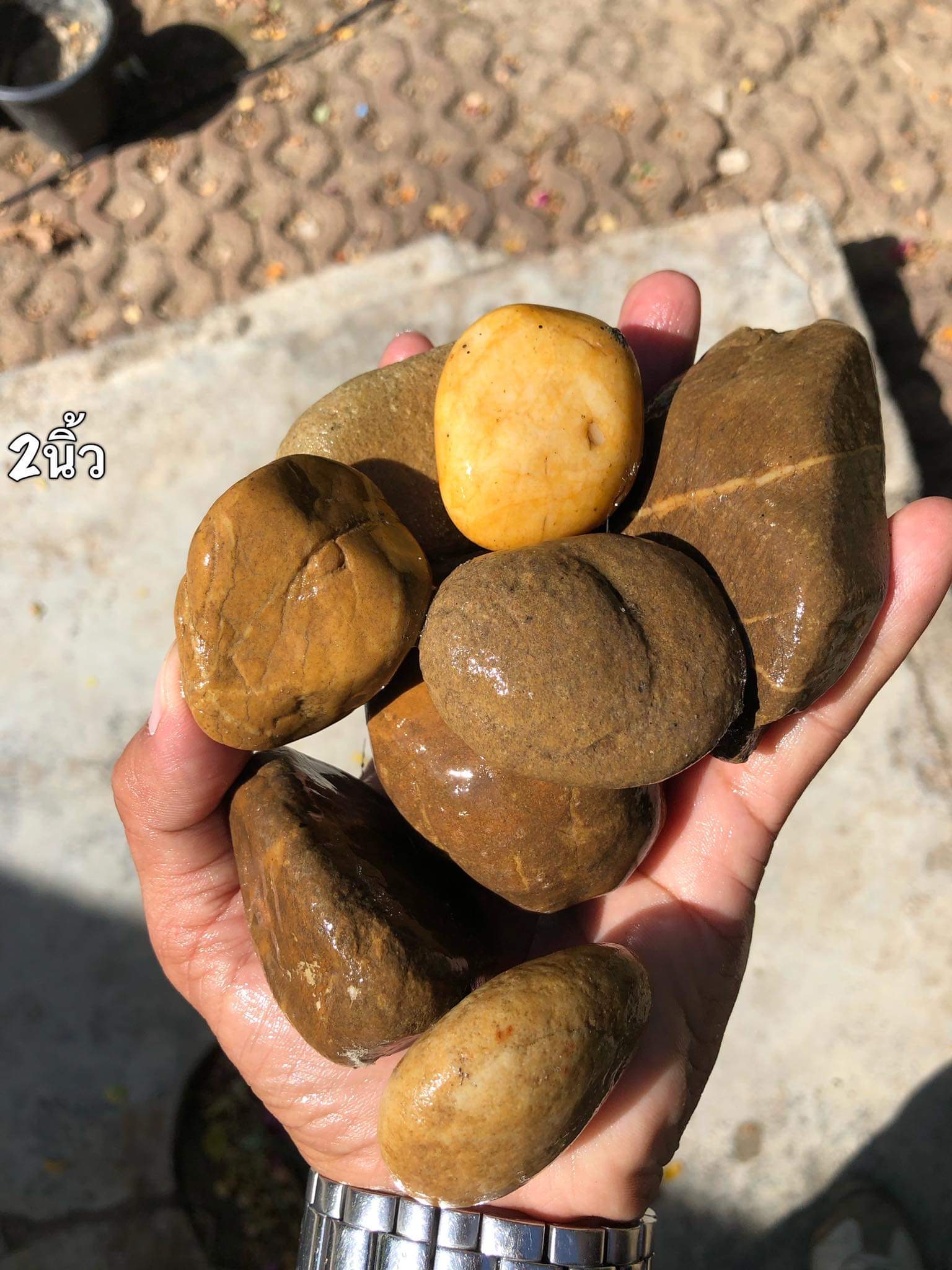 หินกรวด