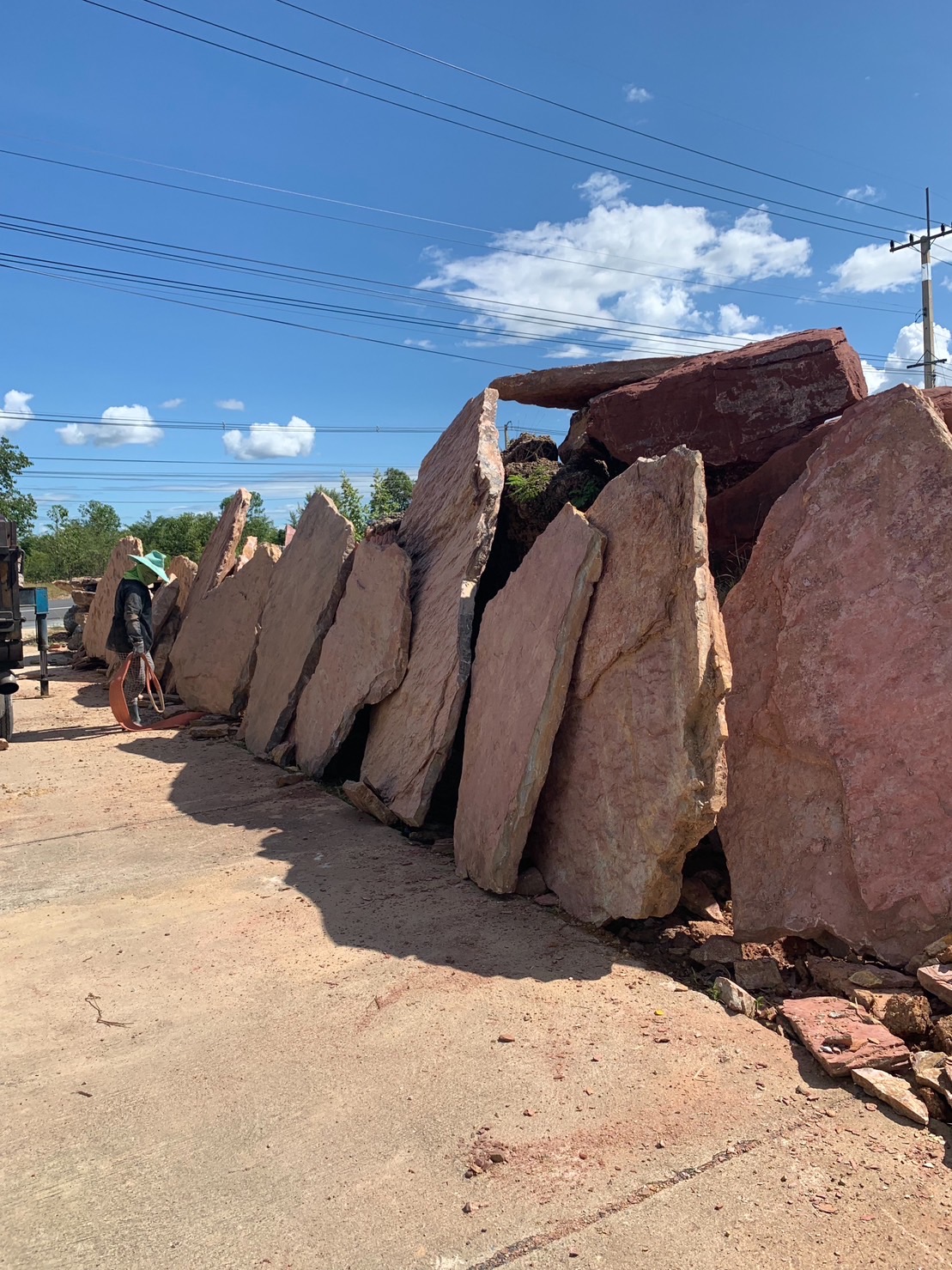 หินกาบป่าสีชมพู