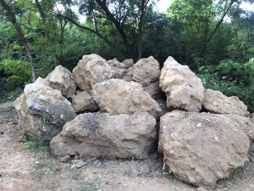 หินฟองน้ำ