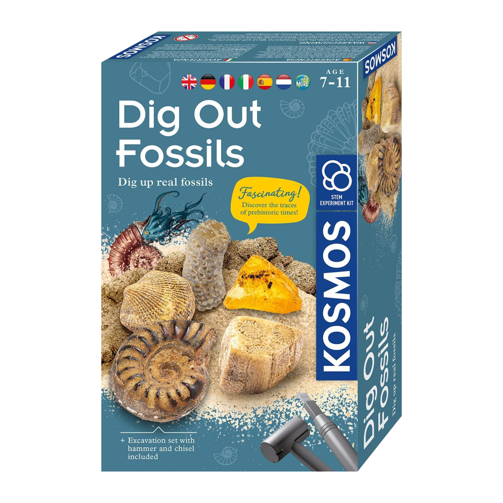[STEM] Dig Out Fossils (MBE)