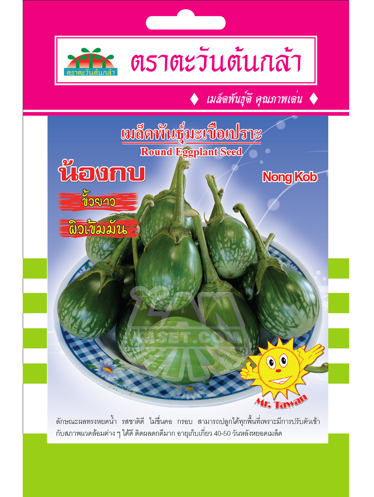 V35 เมล็ดพันธุ์มะเขือเปราะ น้องกบ