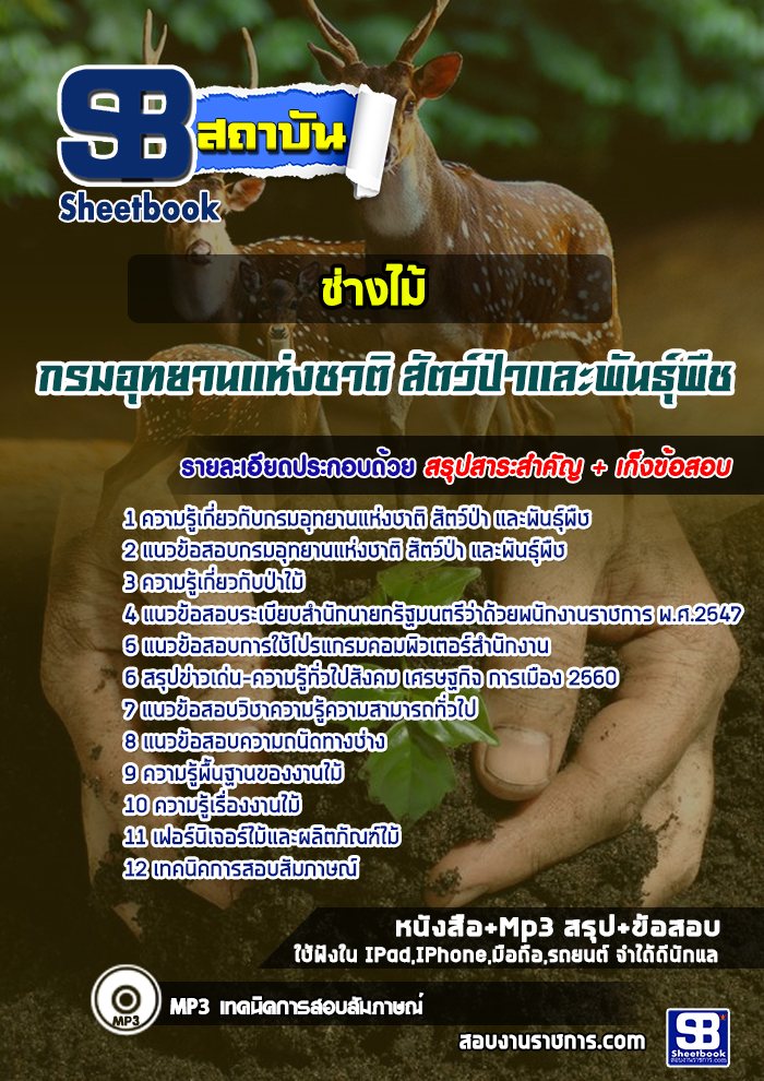 แนวข้อสอบช่างไม้ กรมอุทยานแห่งชาติ สัตว์ป่า และพันธุ์พืช 2568