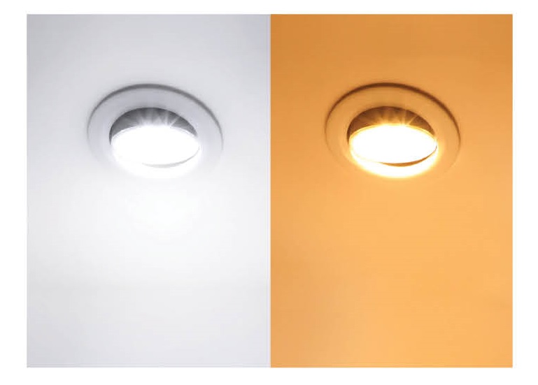 EVE โคมดาวน์ไลท์ LED 7W ปรับมุม ปรับองศา หน้ากลม รุ่น Coni 7วัตต์ เดย์ไลท์ วอร์มไวท์ (ระยะเจาะ 3นิ้ว) ประกันสินค้า 6เดือน PQ