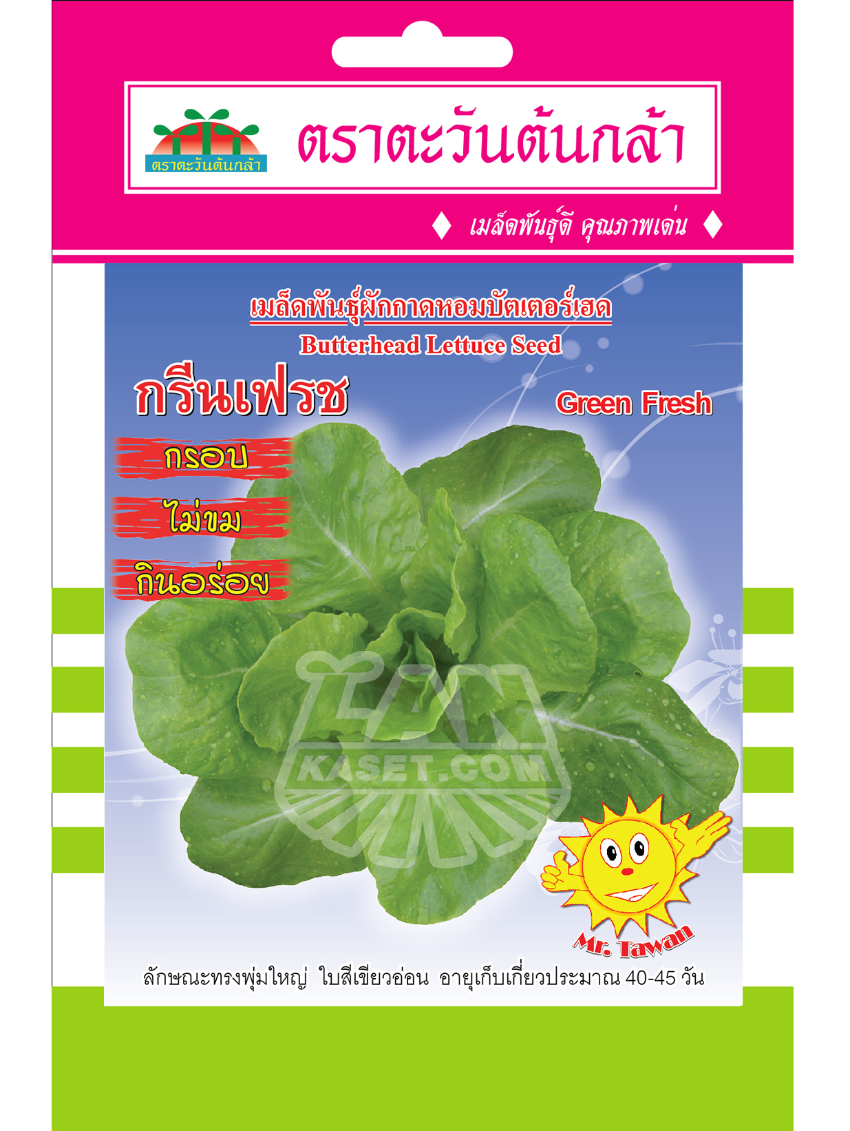 V68 เมล็ดพันธุ์ผักกาดหอมบัตเตอร์เฮด กรีนเฟรช