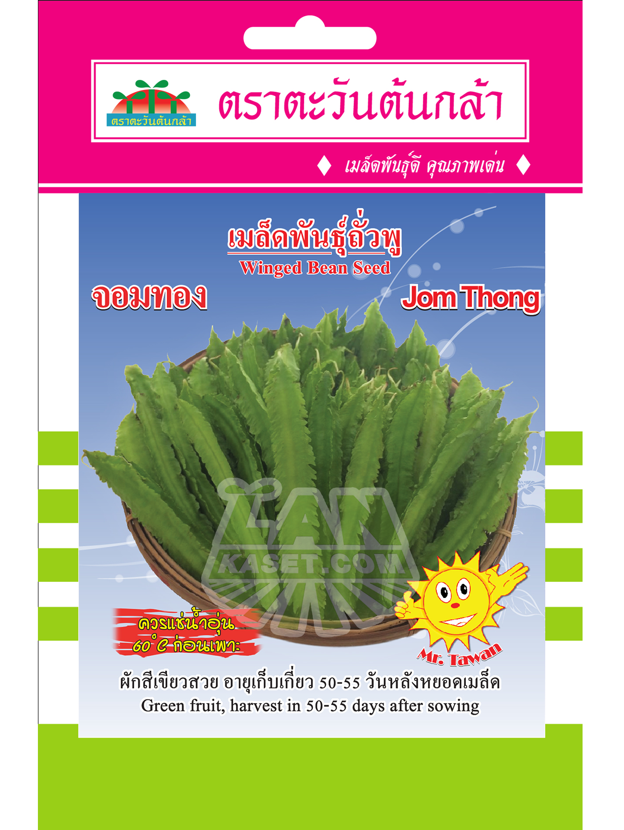 V70 เมล็ดพันธุ์ถั่วพู จองทอง