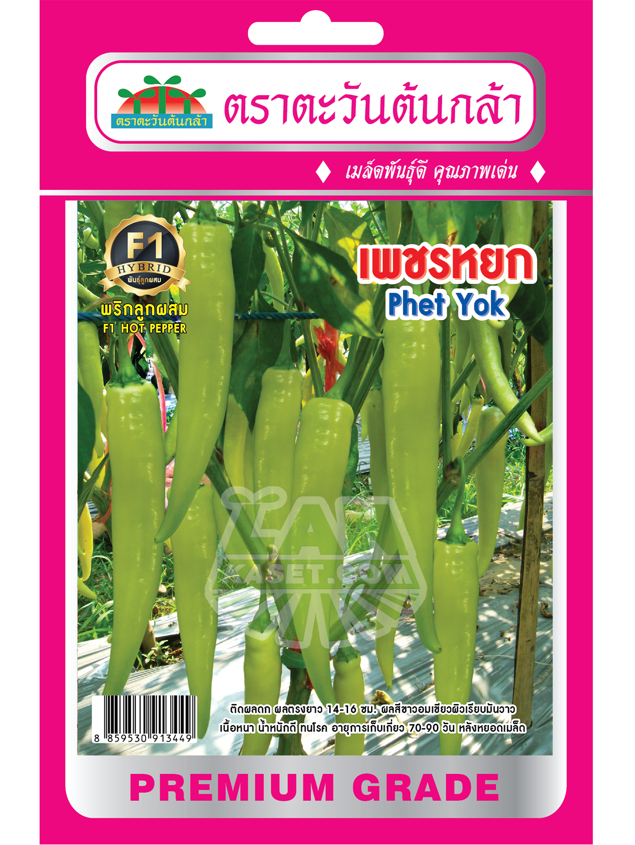 H45 เมล็ดพันธุ์พริกลูกผสม เพชรหยก