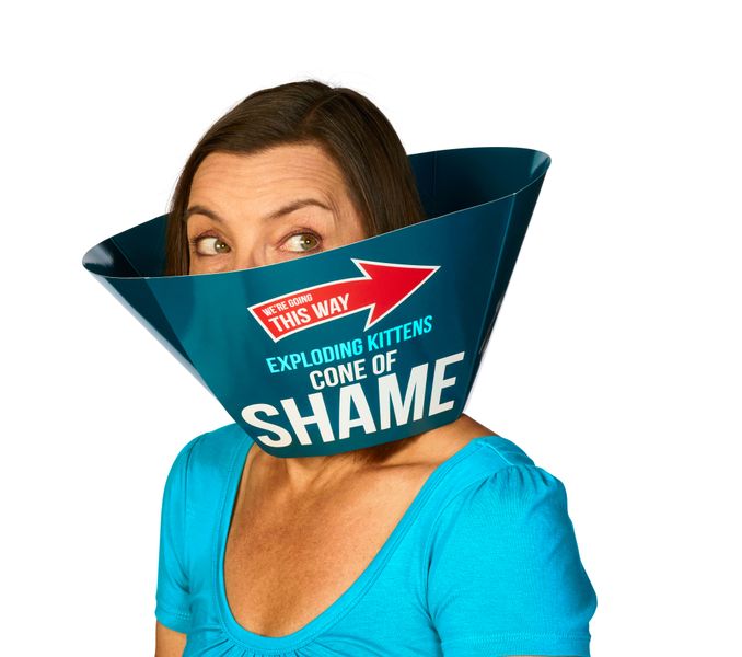 Exploding Kittens: Recipes for Disaster