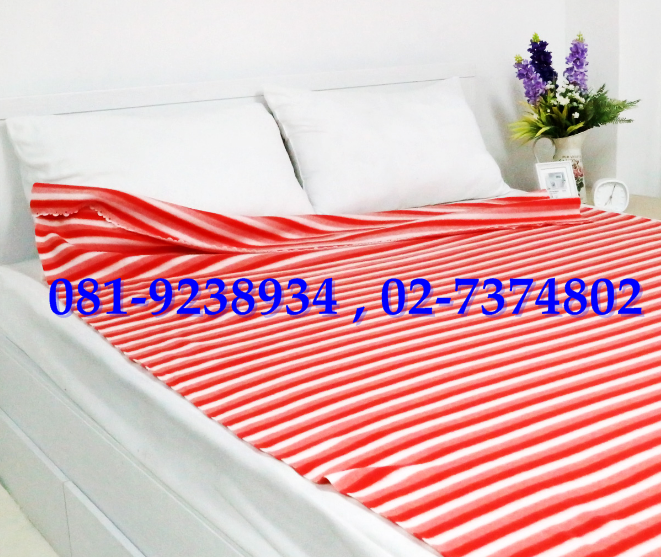 2 ผืน ผ้าห่มสำลีฟรีส ผ้าห่มพิมพ์ลาย 50"x75" หนัก 680 กรัม พร้อมส่งทุกลายจร้า