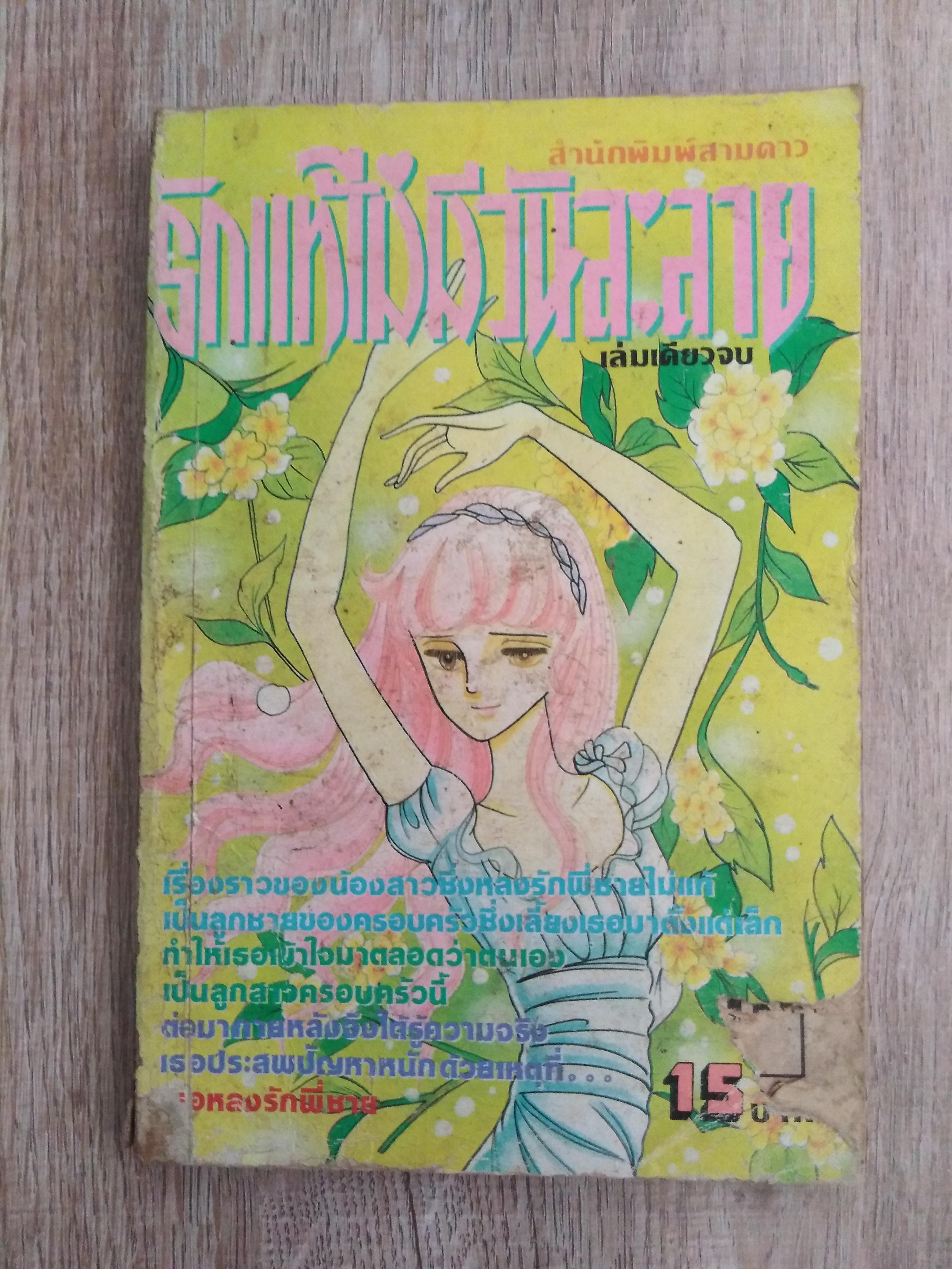 รักแท้ไม่มีวันละลาย ( เล่มเดียวจบ)