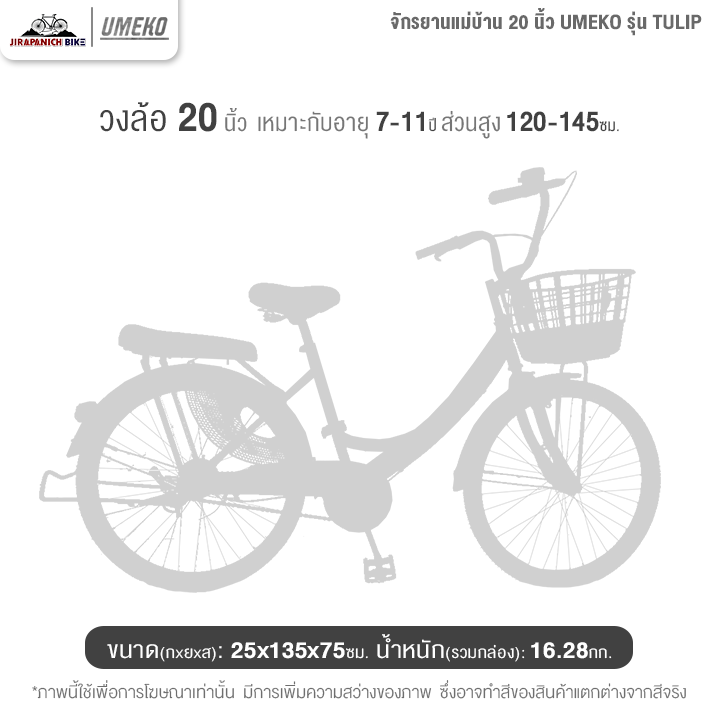 จักรยานแม่บ้าน 20 นิ้ว UMEKO รุ่น TULIP (เฟรมเหล็ก, ดรัมเบรกหลัง)