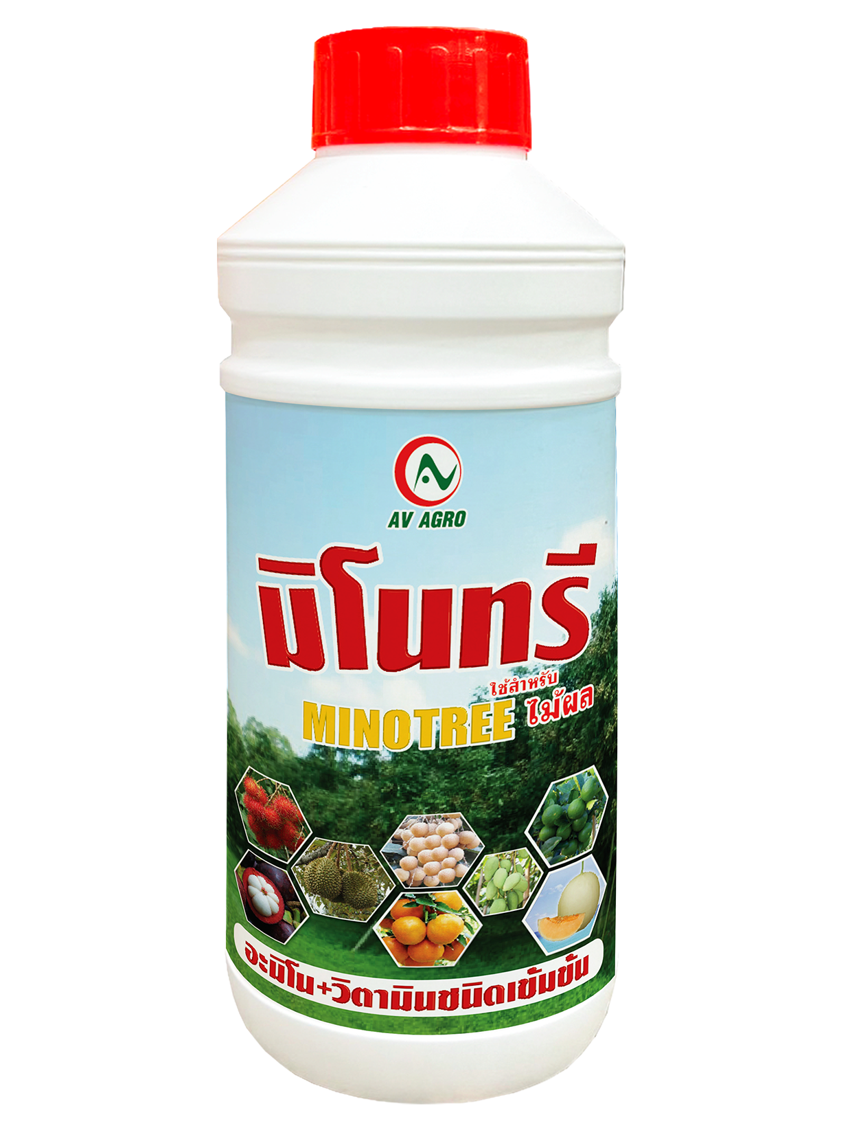 มิโนทรี (500 cc)