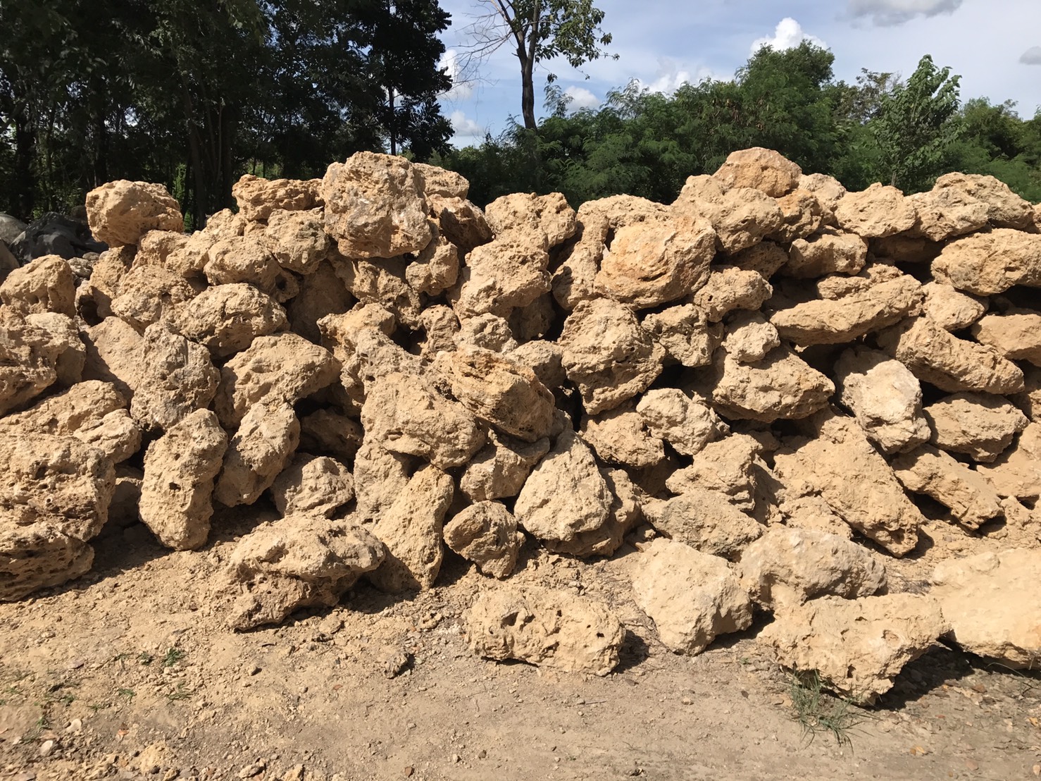 หินฟองน้ำ