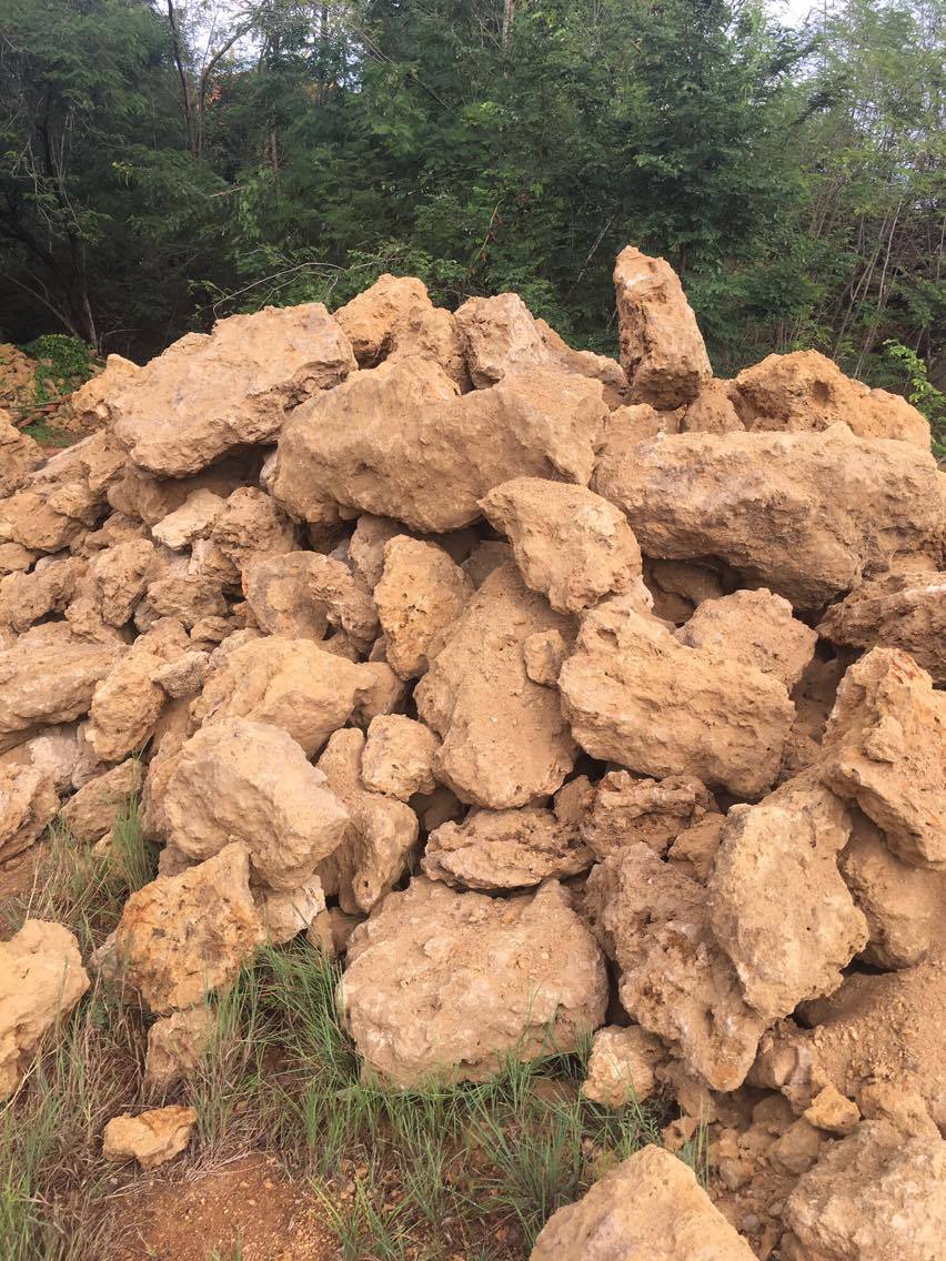 หินฟองน้ำ