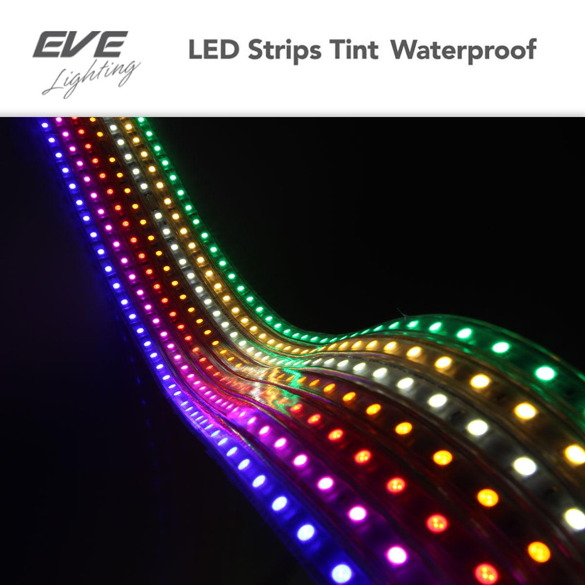 ชุดปลั๊กไฟคอนโทรลเลอร์ 220v รุ่น 5050 สลับสี RGB แบบไม่กันน้ำ พร้อม Pin 4 ขา + End cap จุกปิดท้าย