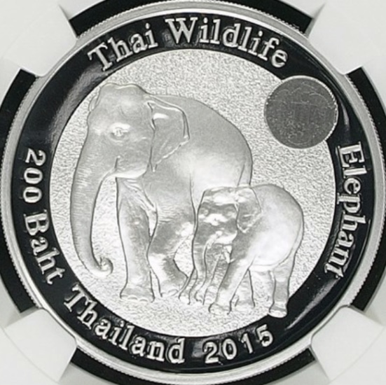 ช้างไทย