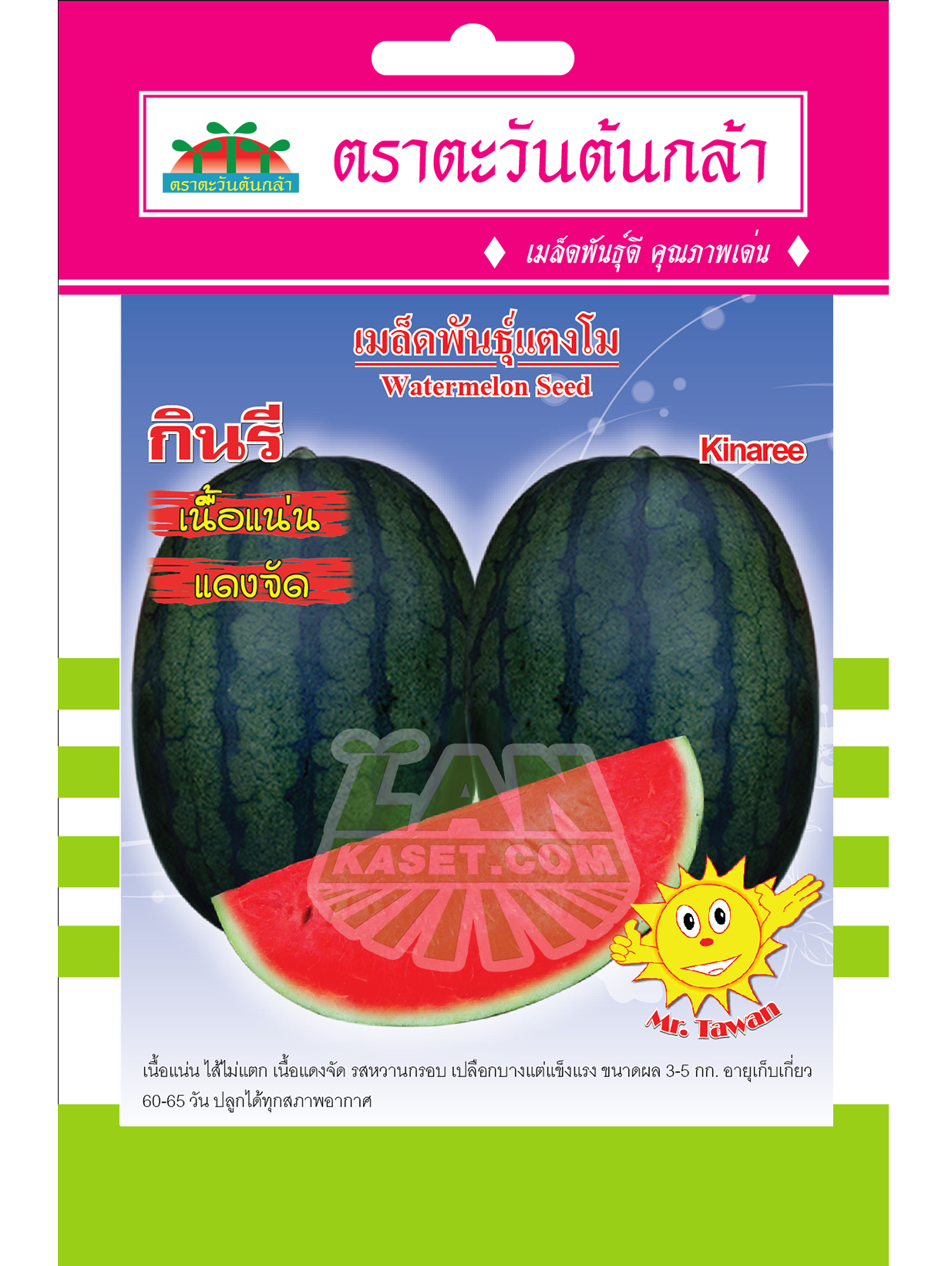 V1 เมล็ดพันธุ์แตงโม กินรี