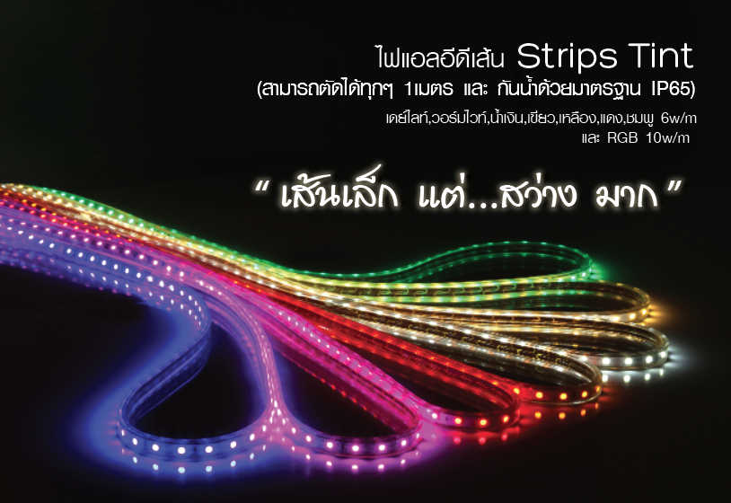 Accessories for LED Strips SMD 5050 Tint 6W/M IP65 220V 50M