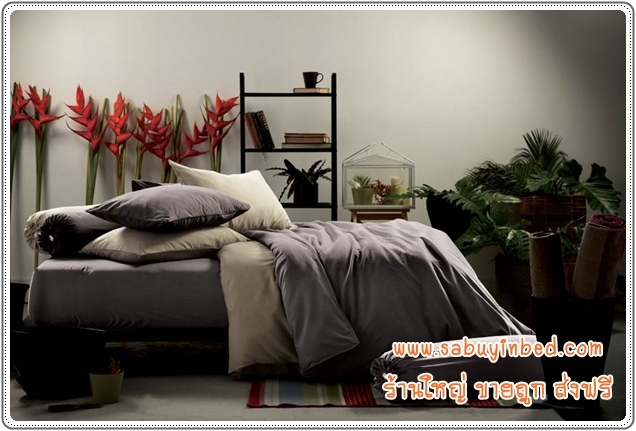 ชุดเครื่องนอนไร้รอยต่อ - Li-SD-10 (ผ้าปูที่นอนสีพื้น สีเทาดำ) - Lotus Impression SolidColors กันไรฝุ่น ไรร้อยต่อ เนื้อผ้านิ่มมาก