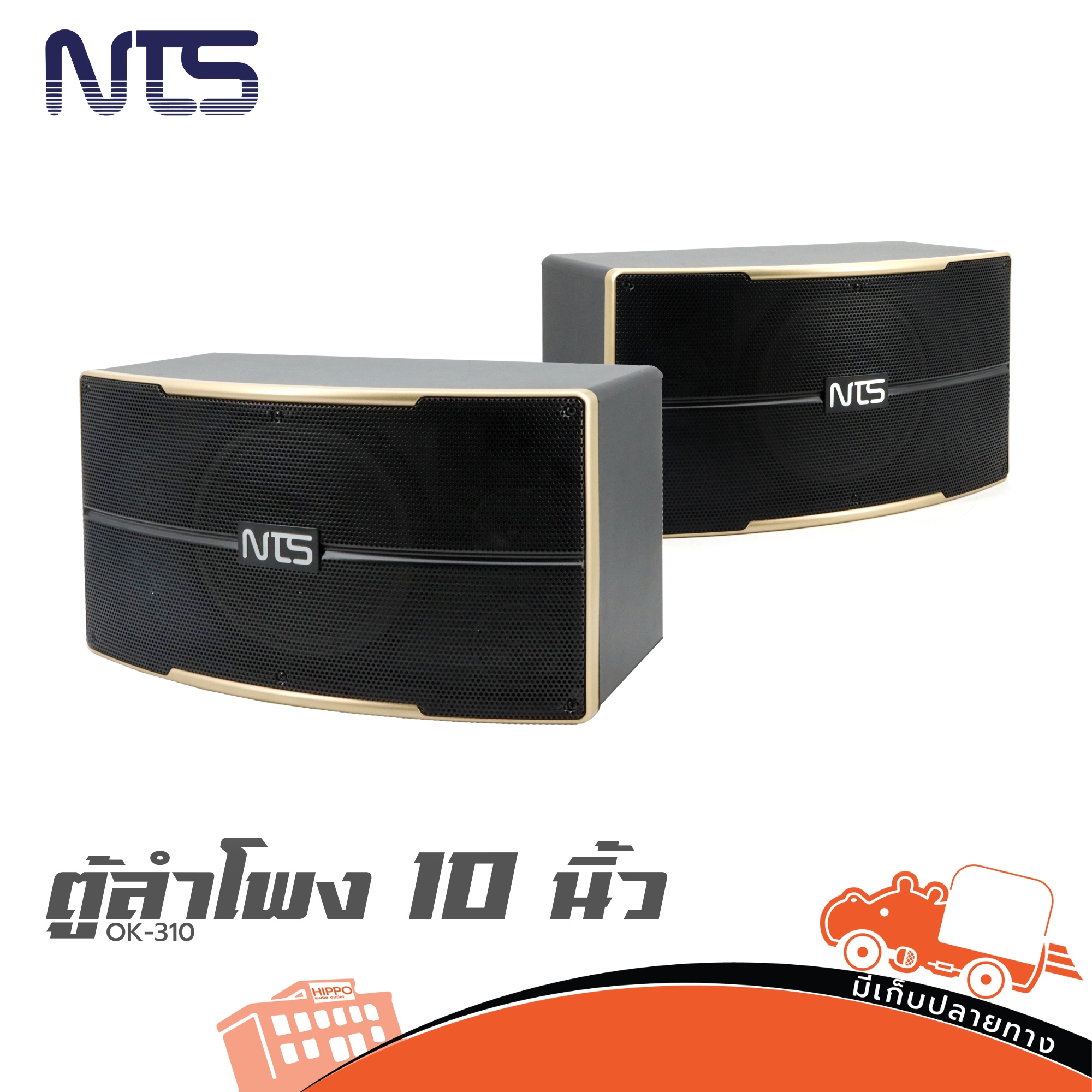 ตู้ลำโพง 10 นิ้ว NTS OK 310 (PP1)
