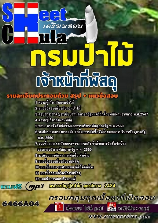 แนวข้อสอบเจ้าหน้าที่พัสดุ กรมป่าไม้ 2568