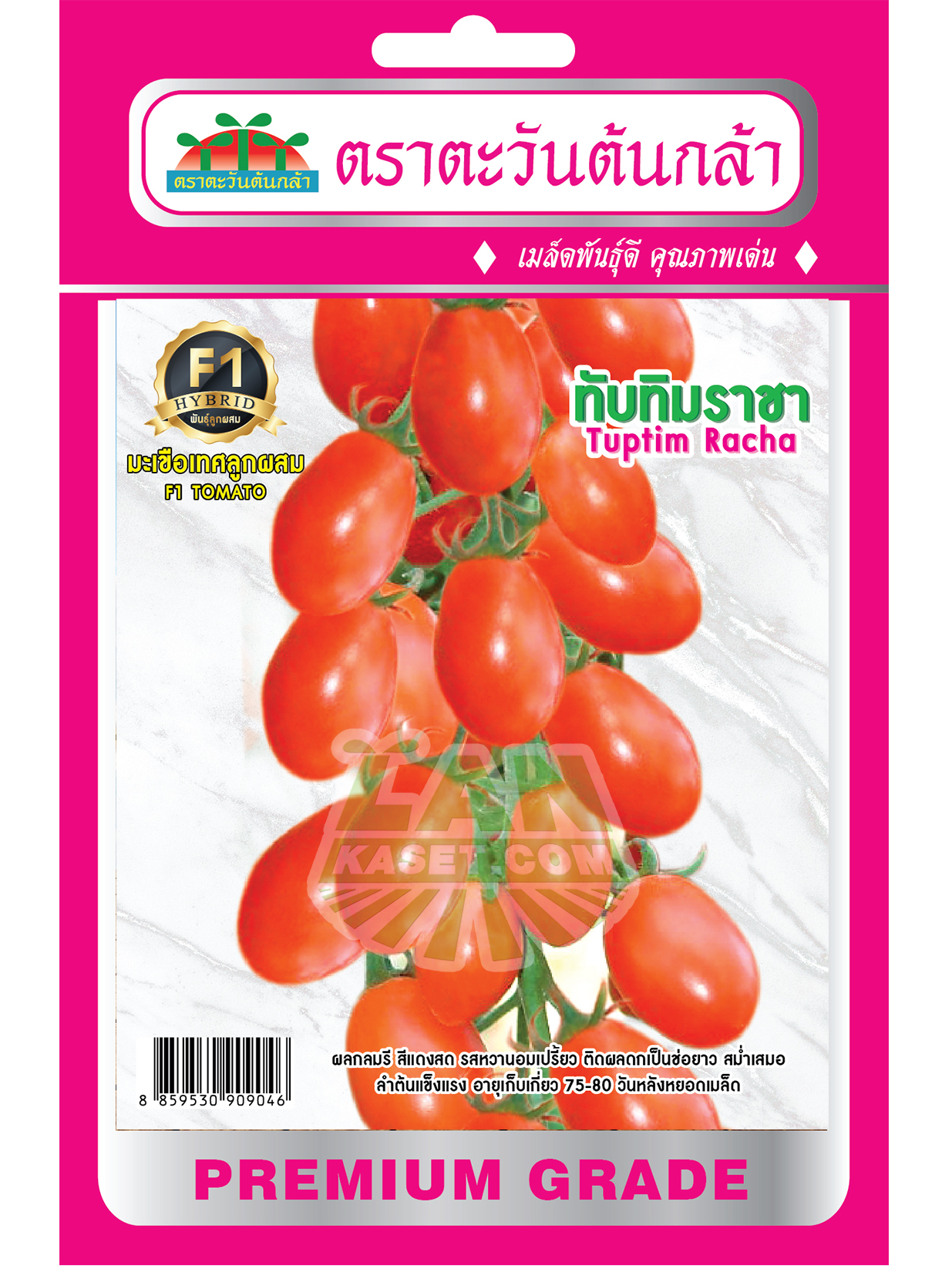 H26 เมล็ดพันธุ์มะเขือเทศลูกผสม ทับทิมราชา