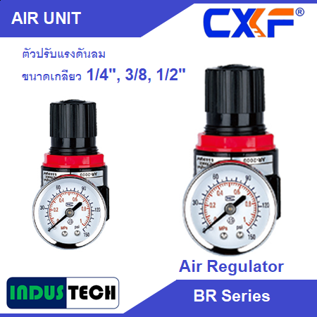 CXF Air Unit Regulator BR
