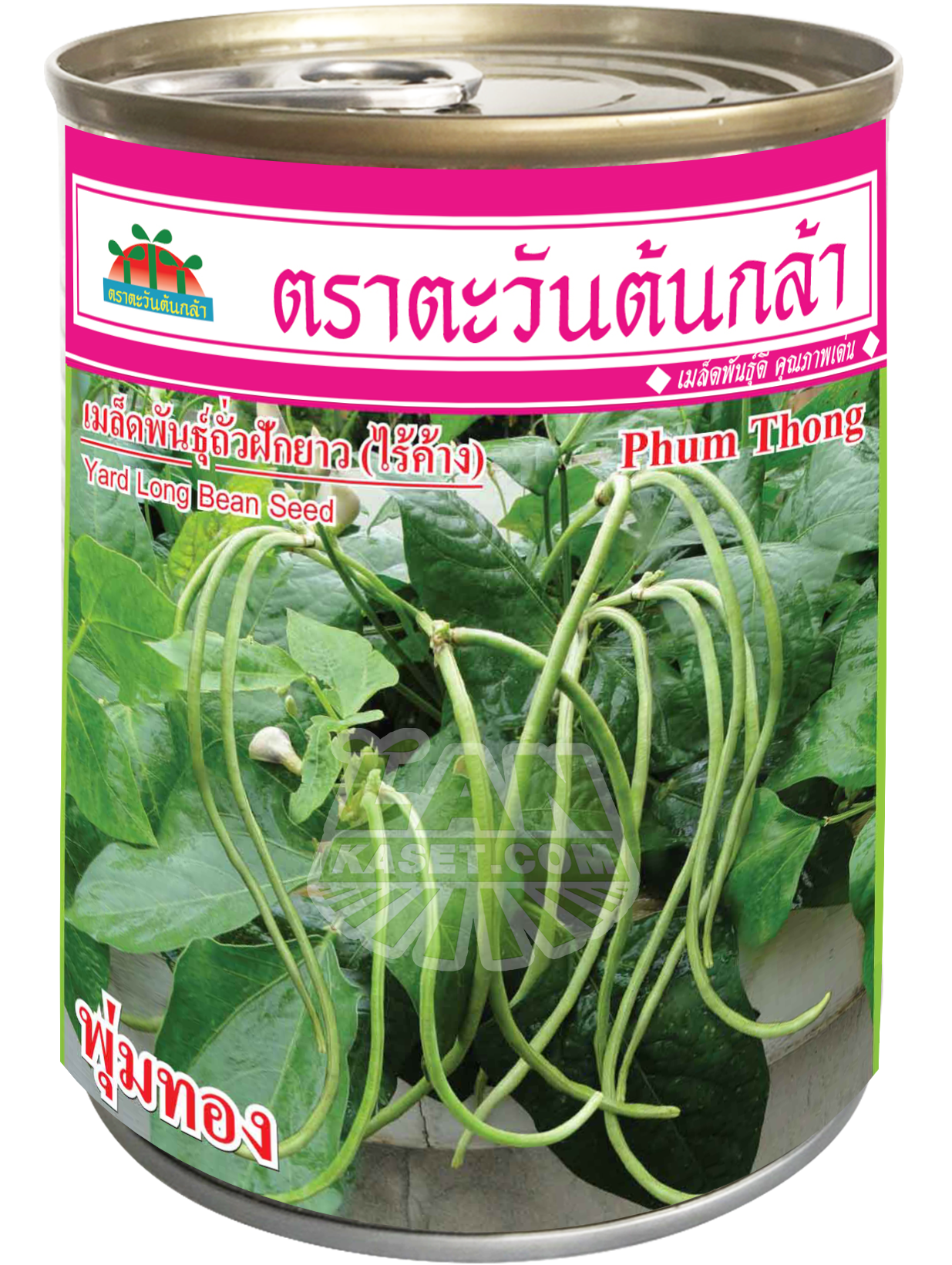 เมล็ดพันธุ์ถั่วฝักยาว (ไร้ค้าง) พุ่มทอง (100 กรัม)