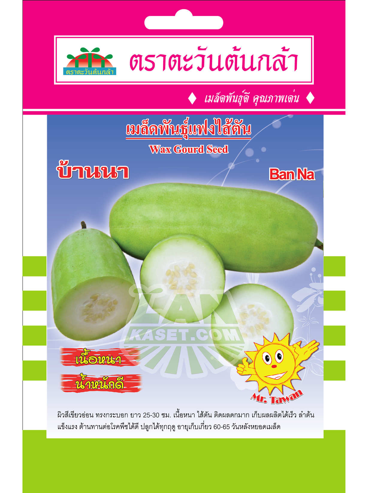V15 เมล็ดพันธุ์แฟงไส้ตัน บ้านนา
