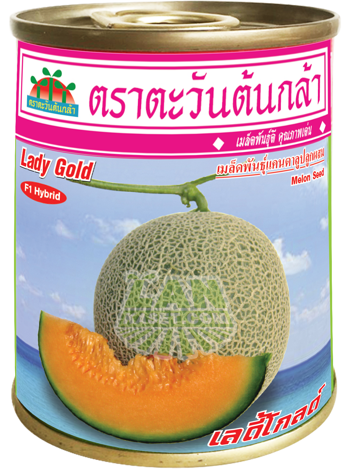 แคนตาลูป เลดี้โกลด์ (20กรัม)