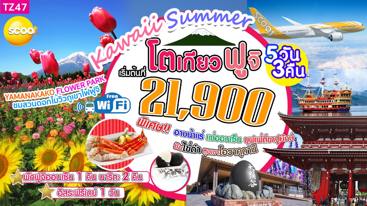 โตเกียว ฟูจิ 5วัน 3คืน มิ.ย- ต.ค.60