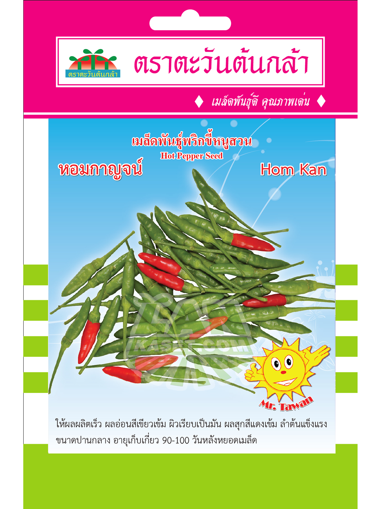 V65 พริกขี้หนูสวนหอมกาญจน์