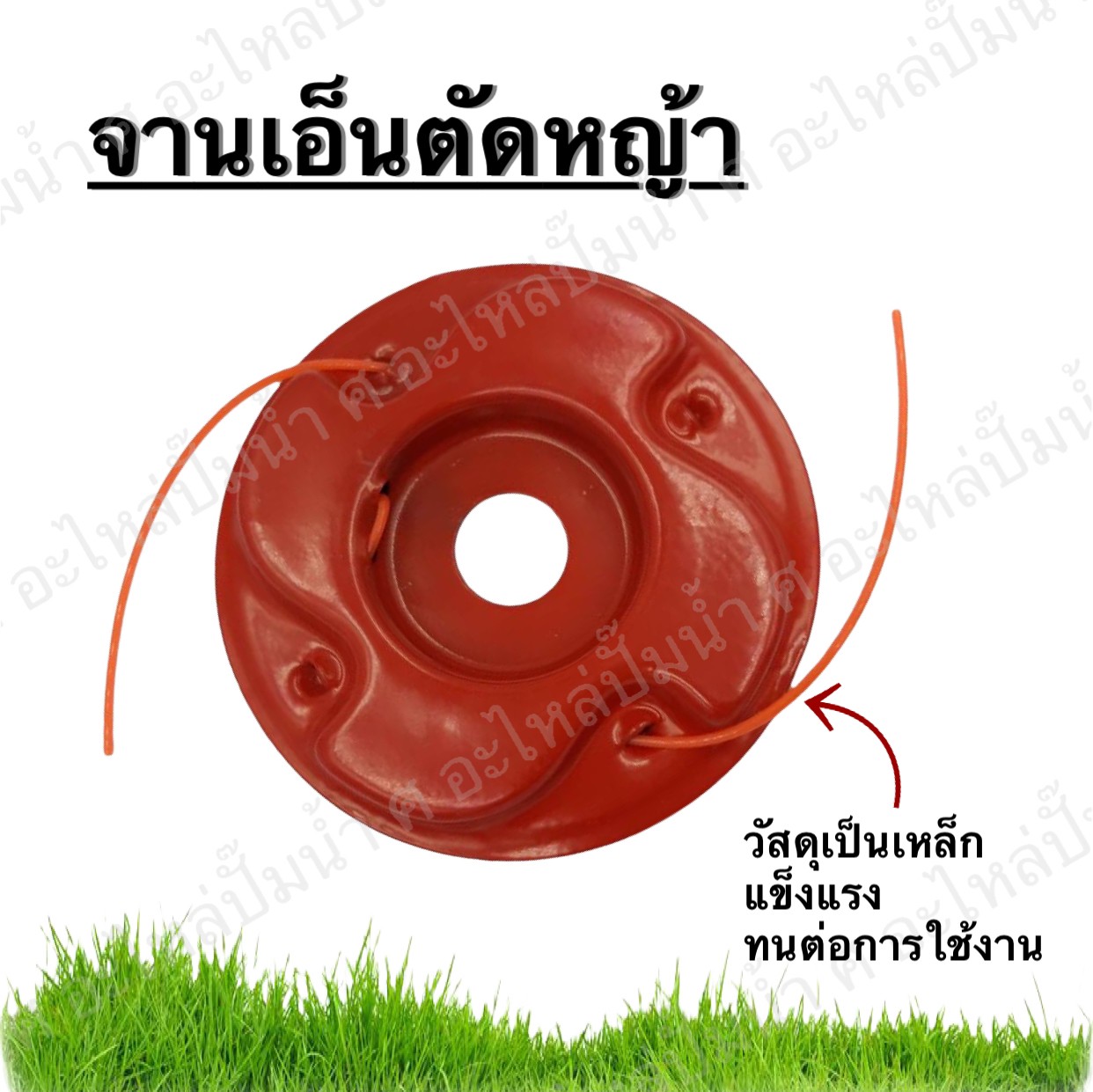 จานเอ็นตัดหญ้า