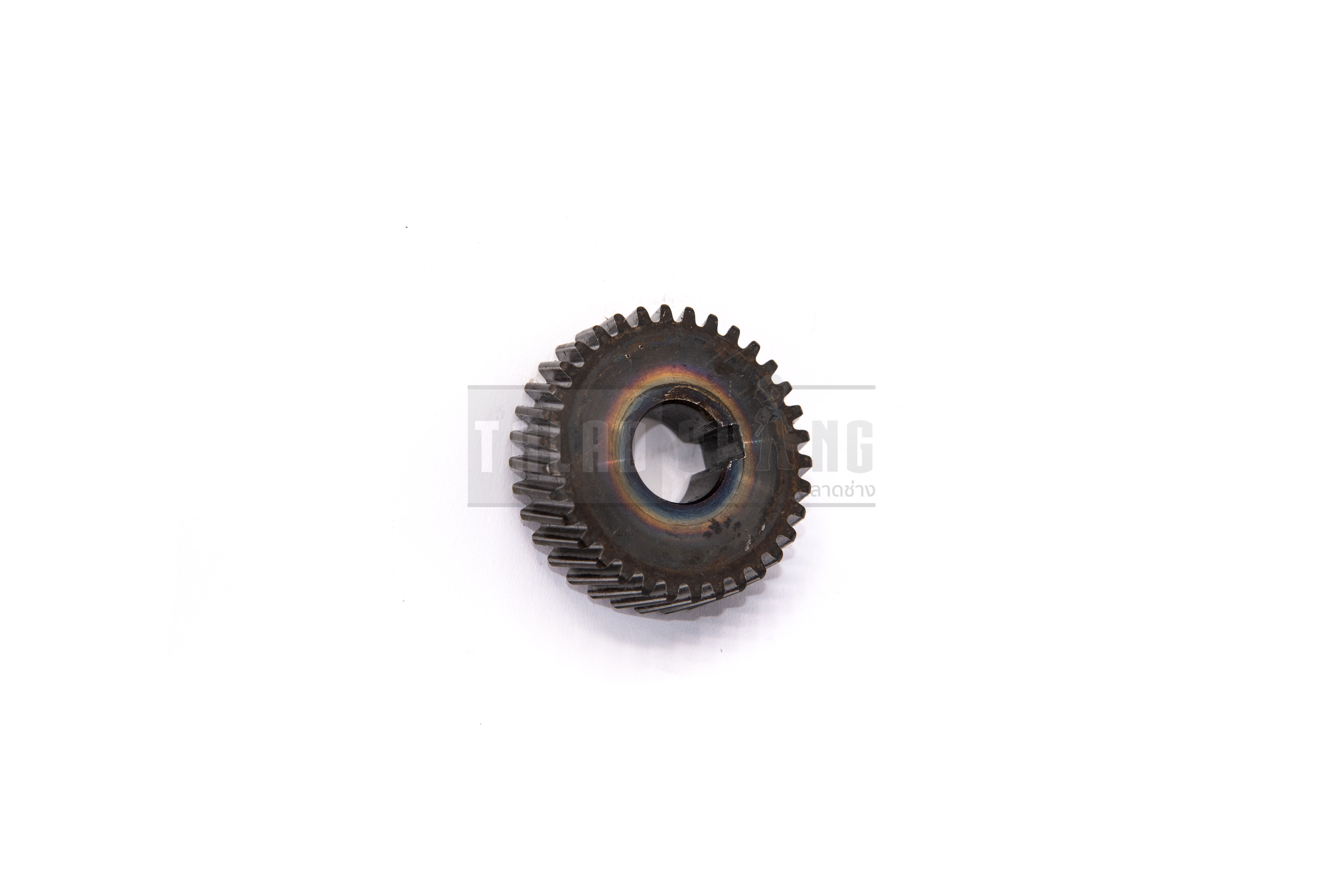 เฟืองขับทุ่น(2# Gear) No.21 อะไหล่เครื่องคอริ่งทีเร็ก T-REX 1800W