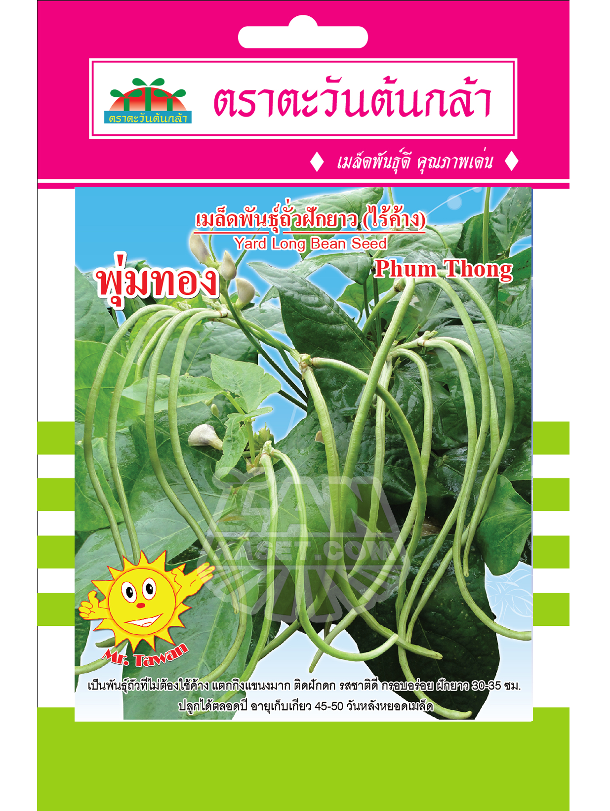 V67 เมล็ดพันธุ์ถั่วฝักยาว (ไร้ค้าง) พุ่มทอง
