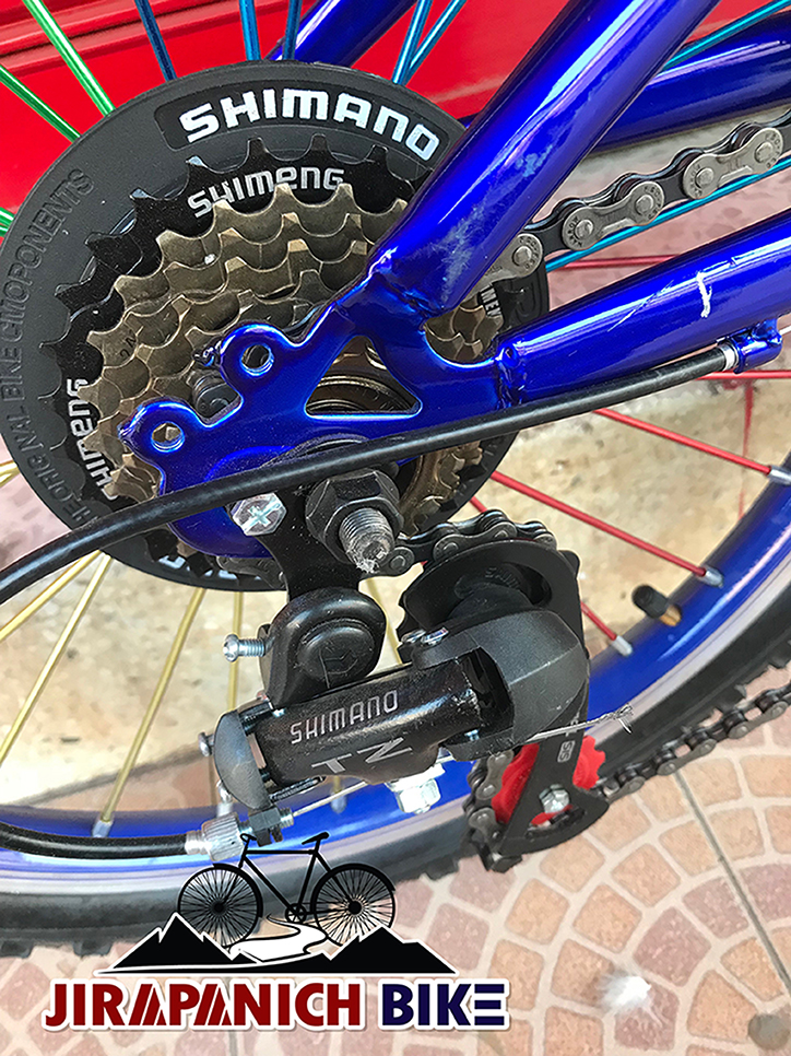 จักรยานภูเขาเด็ก Ecoline รุ่น 819 (วงล้อ 20 นิ้ว)