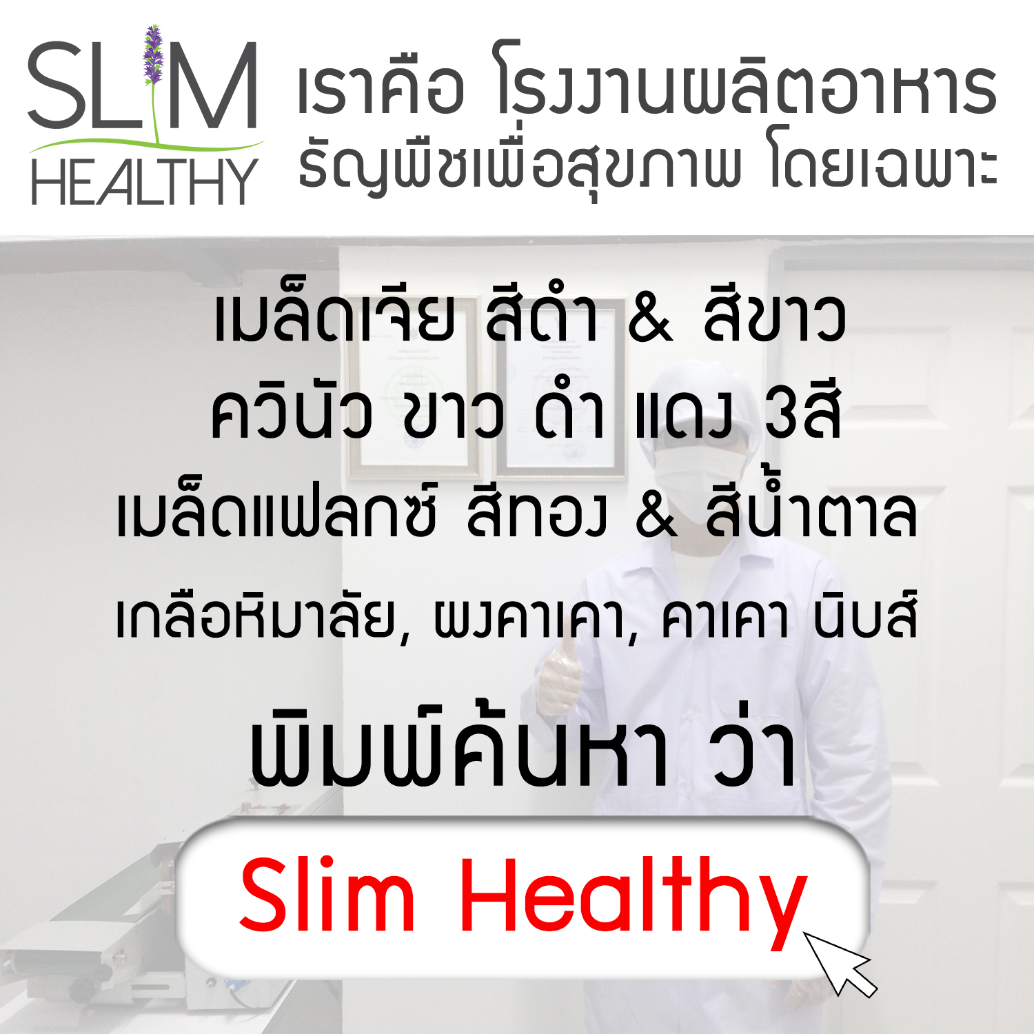 เมล็ดแฟลกซ์ สีน้ำตาล บดผง 700 กรัม x 3 ถุง ออร์แกนิค Organic Brown Grinded Flaxseeds แฟล็กซีด ขายส่ง เมล็ดflaxseed เมล็ดลินิน เมล็ดแฟลกซ์ซีด ราคาส่ง ตรา Slim Healthy