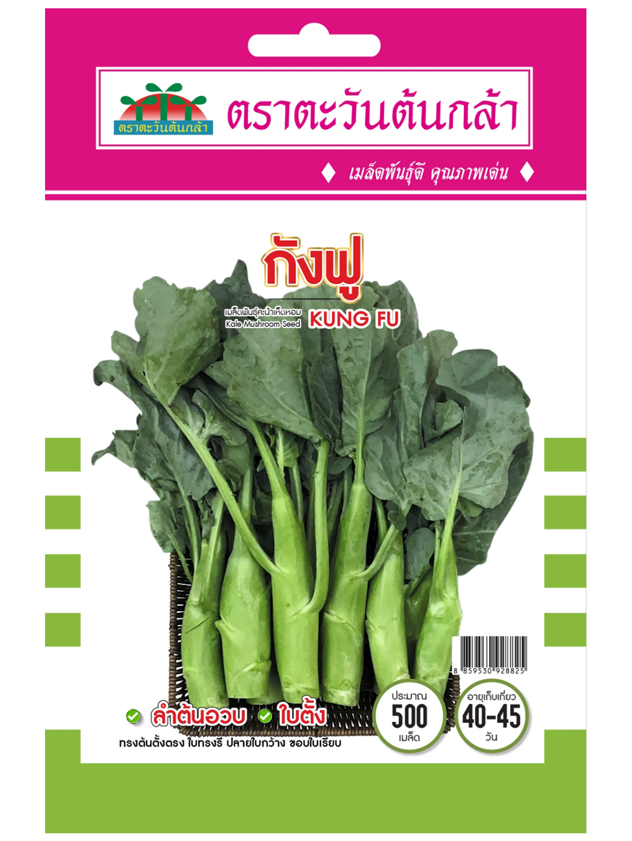 V86 เมล็ดพันธุ์คะน้าเห็ดหอม ฮองเฮา