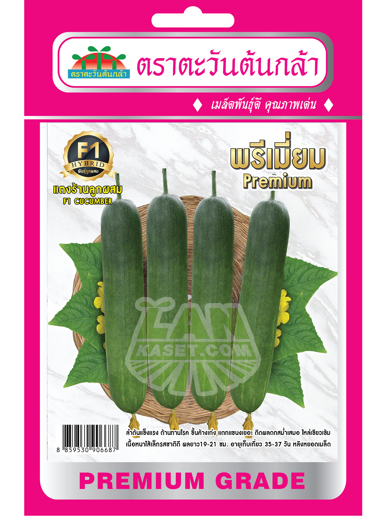 H53 เมล็ดพันธุ์แตงร้านลูกผสม พรีเมี่ยม