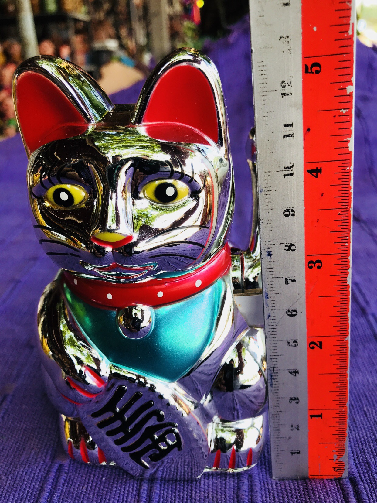 แมวกวัก5”