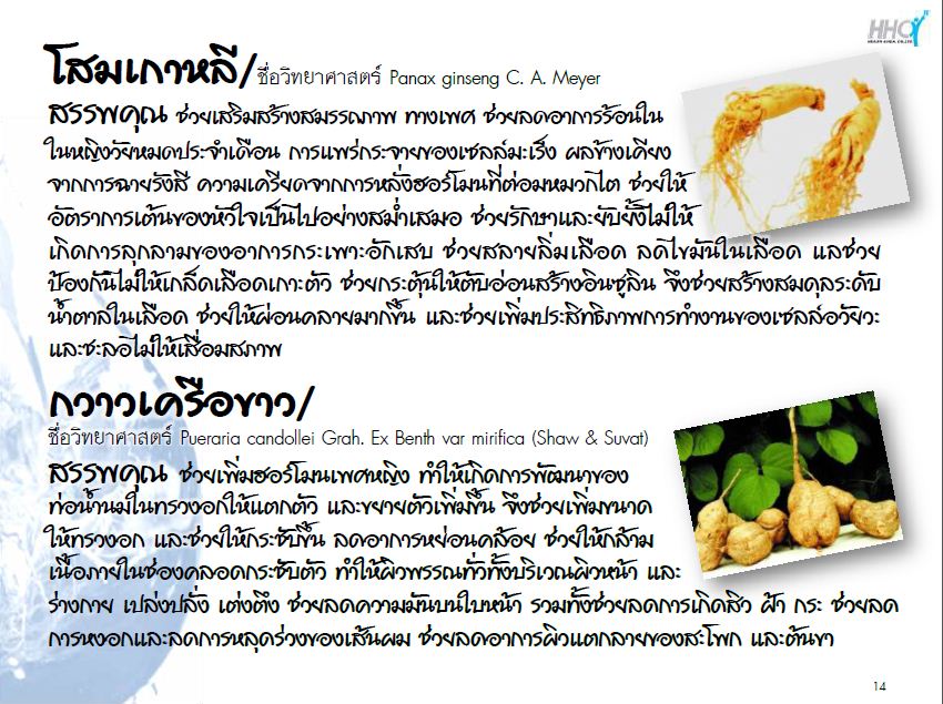 ยาน้ำสมุนไพรพระยาทอง บำรุงโลหิต ทางเลือกที่ดีกว่าของผู้รักสุขภาพ