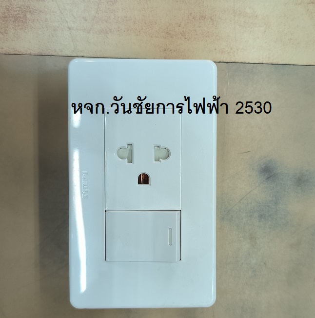 PHILIPS ชุดปลั้กไฟกราว์เดียวและสวิทซ์ ปลั้กไฟฟิลลิป์ รุ่น ปลั้กพร้อมใช้งาน ฝาหน้ากาก+เต้ารับเดัยว+สวิทซ์