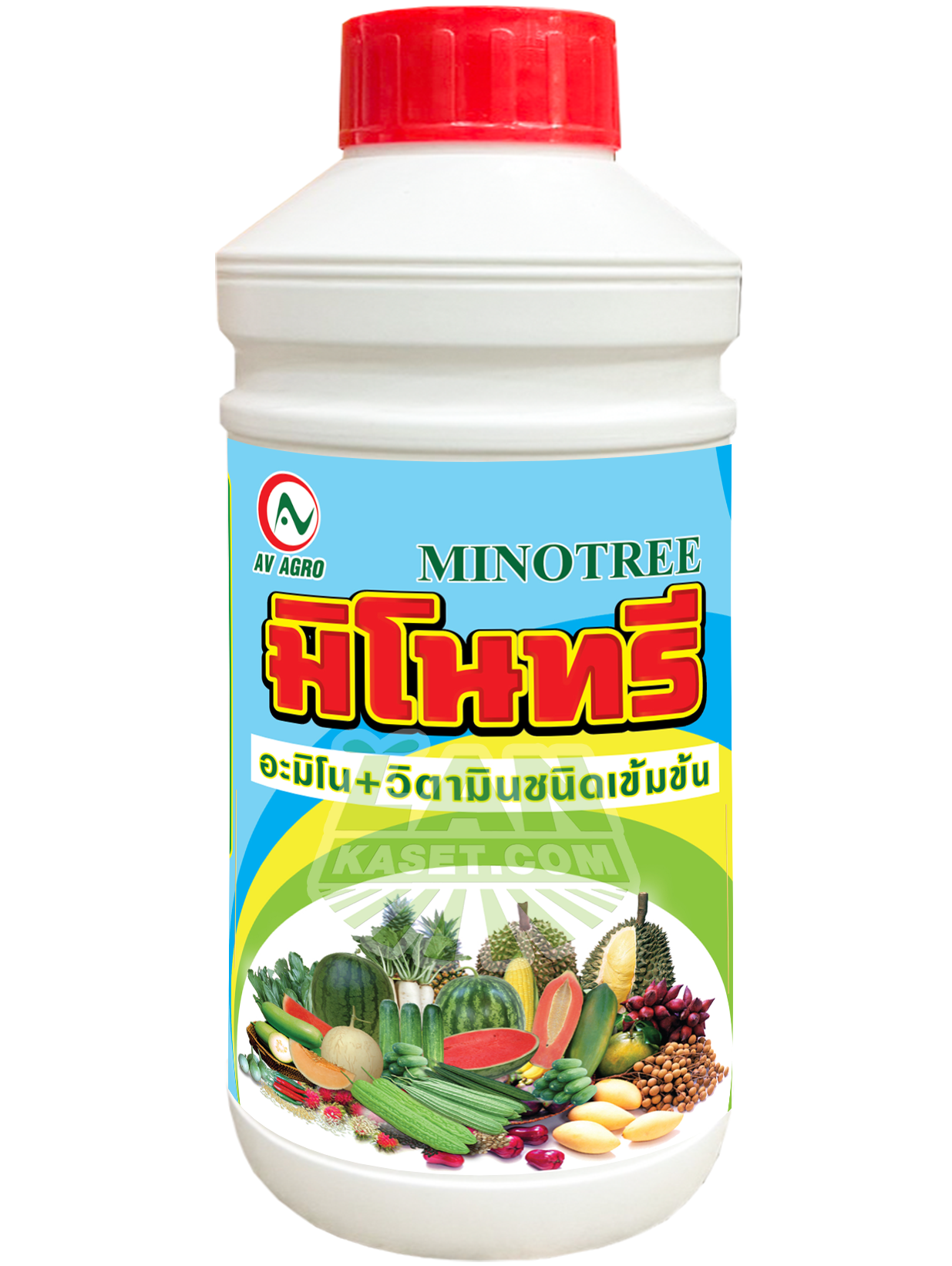 มิโนทรี (1000cc)
