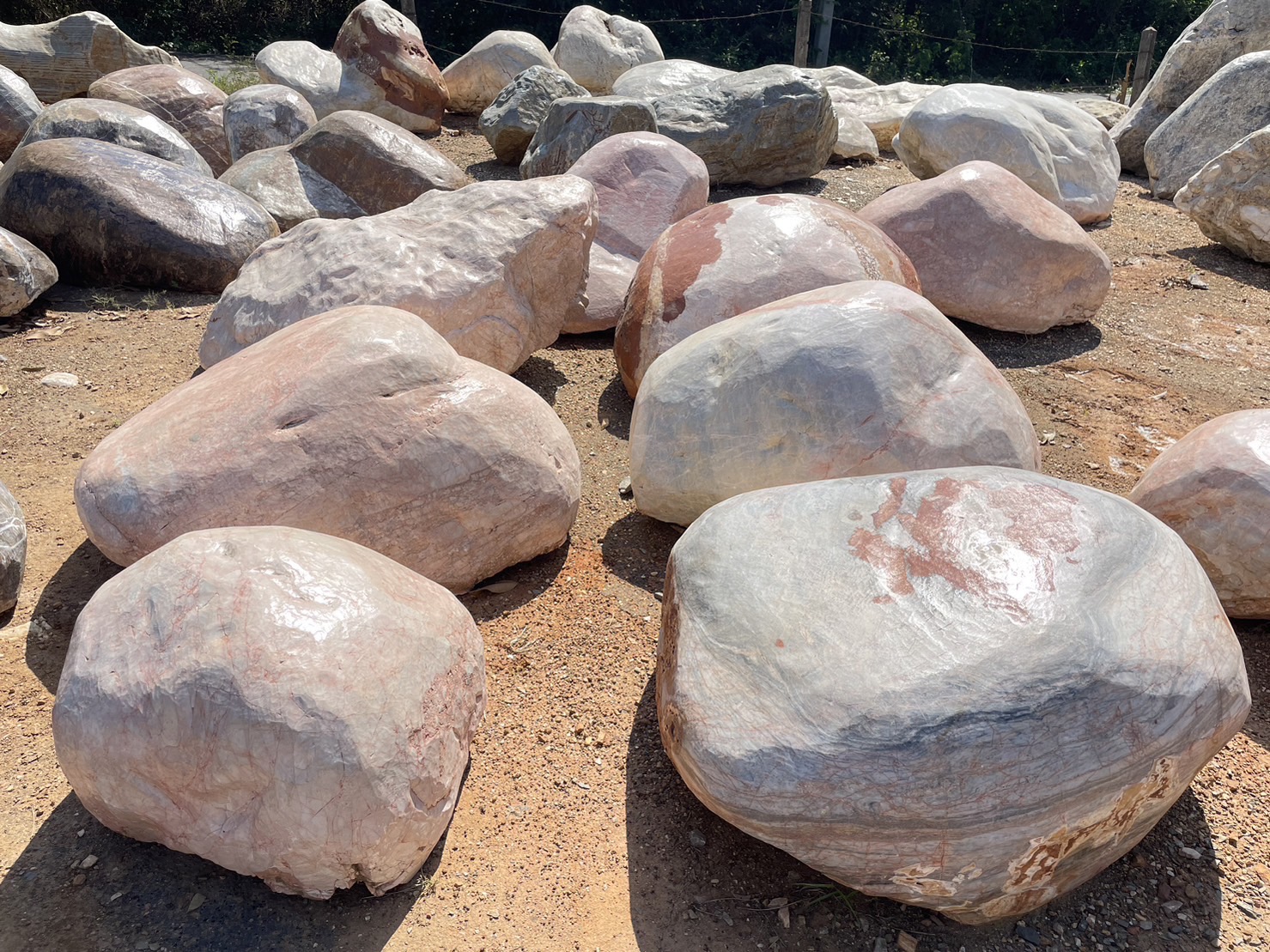 หินหลังเต่า