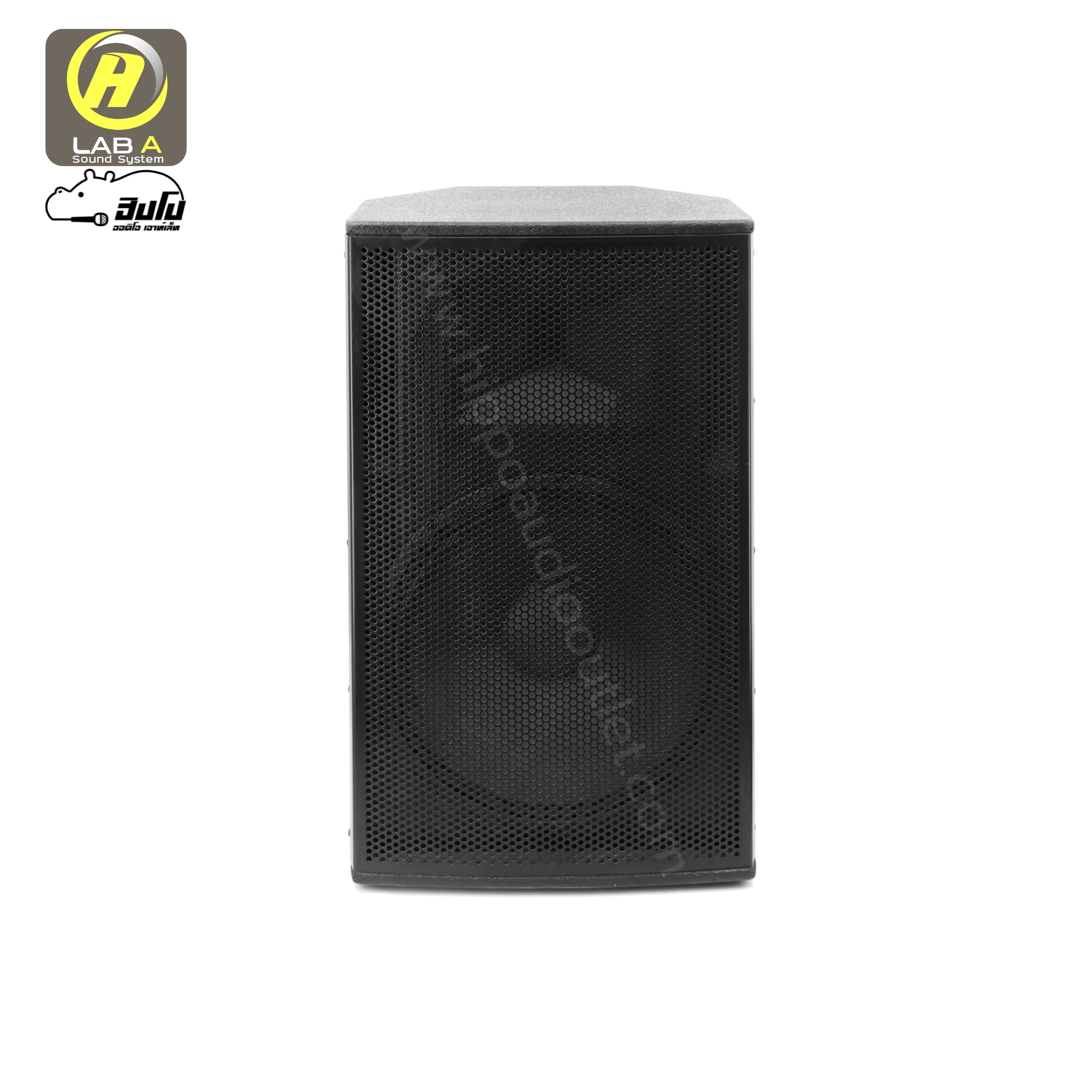 ตู้ประกอบสำเร็จ 15 นิ้ว RCF 15 LAB A (PP1)