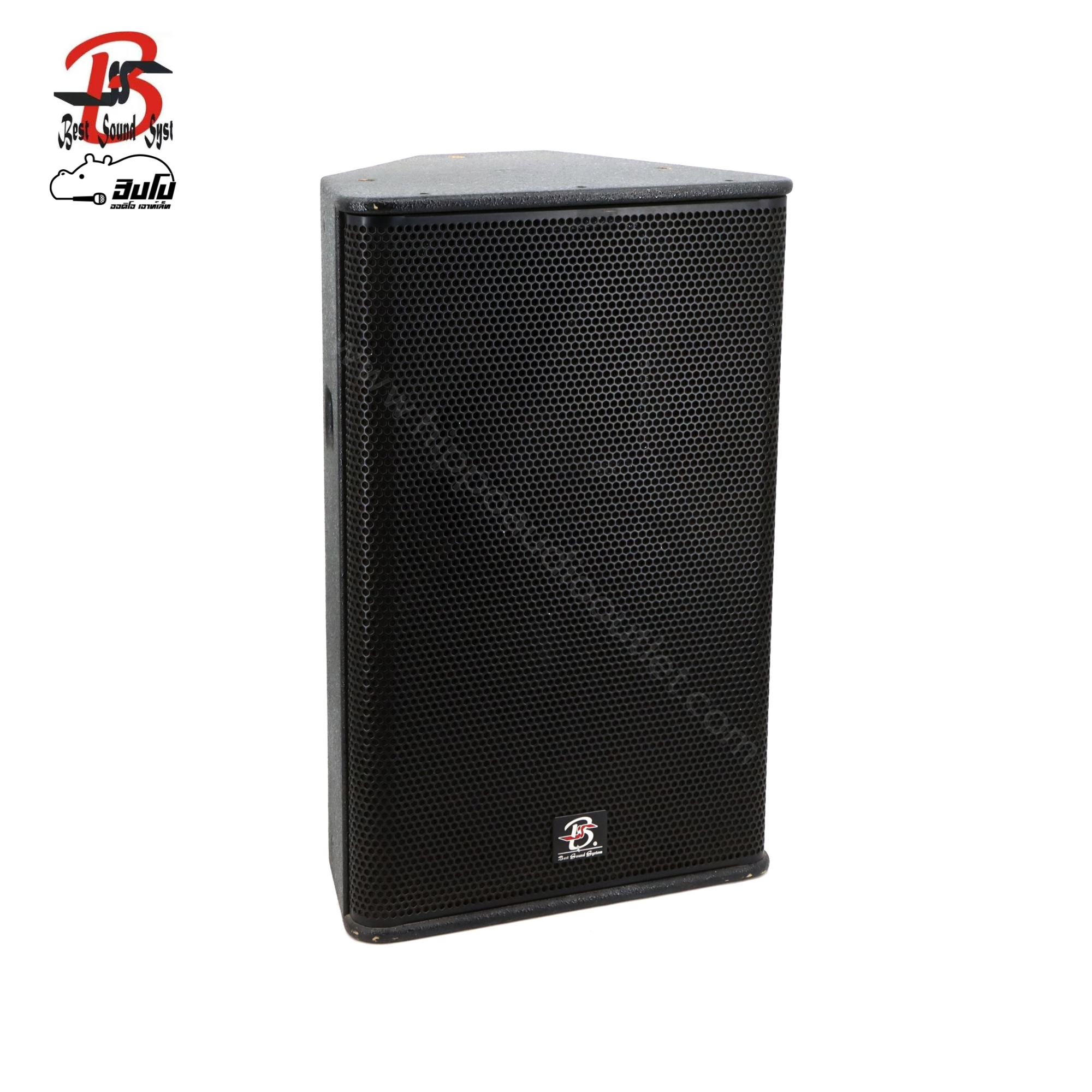 ตู้ลำโพง 15 นิ้ว BSS PS 15 (PP1)