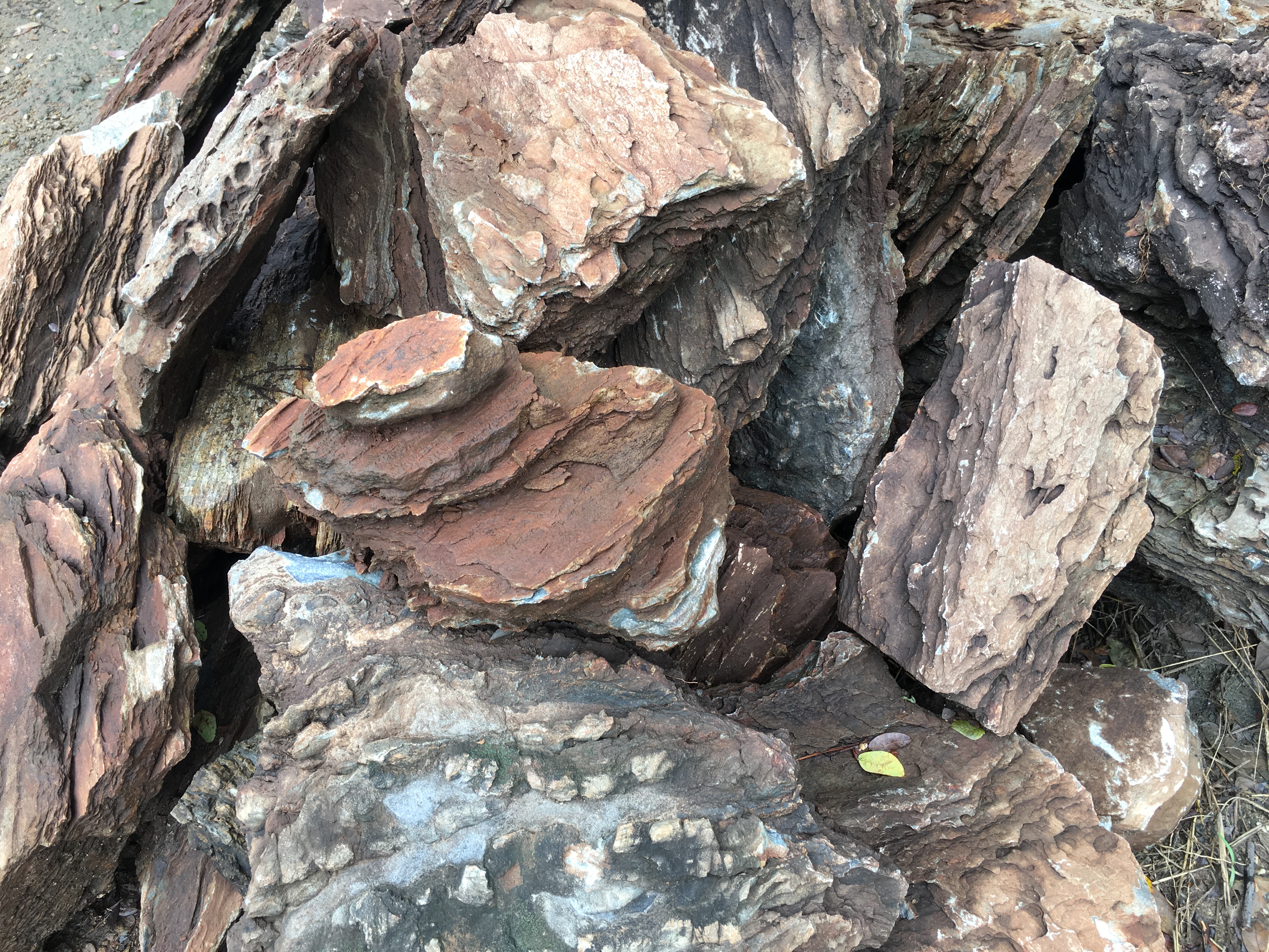 หินชั้นภูเขา