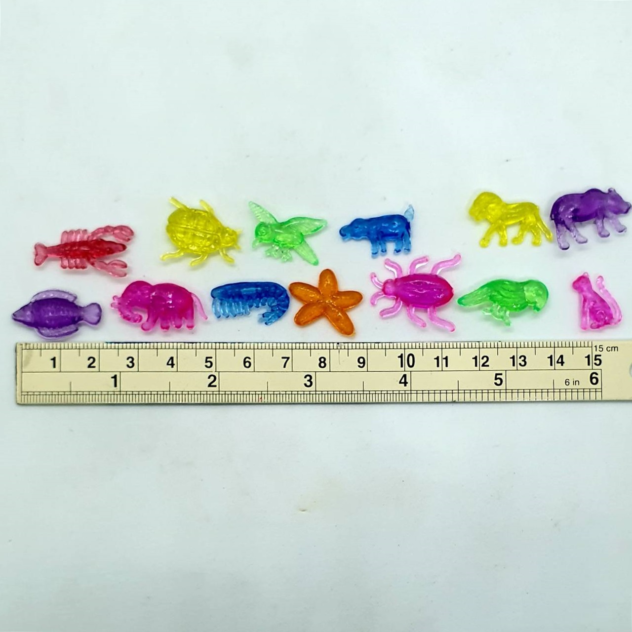 ตัวสัตว์ใสคละสี